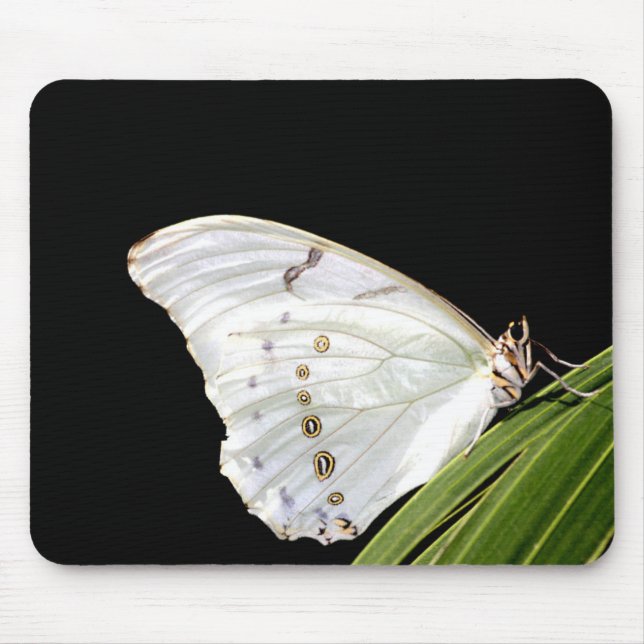 Weißer Morpho-Schmetterling Mousepad (Vorne)