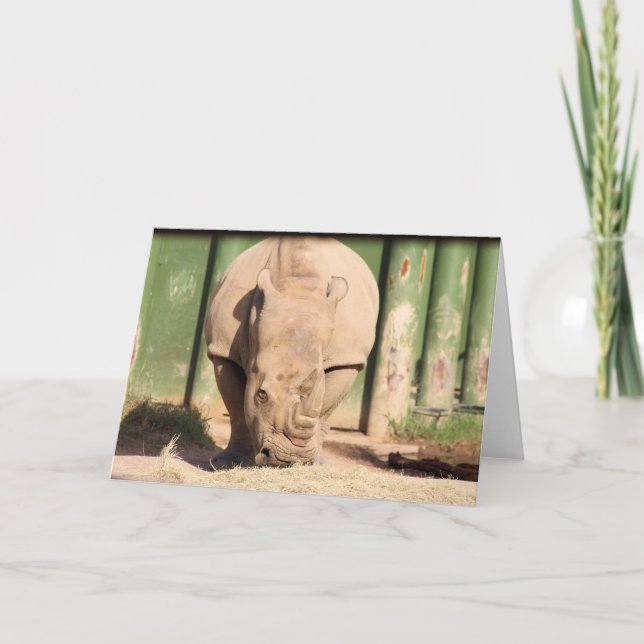 Weißer Nashorn Karte (Vorderseite)