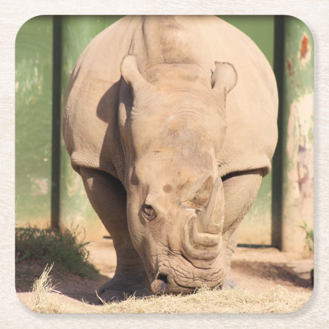 Weißer Nashorn Rechteckiger Pappuntersetzer (Vorderseite)