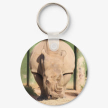 Weißer Nashorn