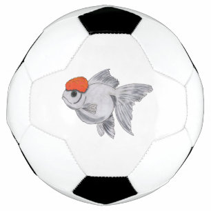 Weißer Orange Oranda Goldfish Aquarium Pet Fisch Fußball