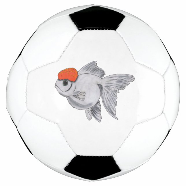 Weißer Orange Oranda Goldfish Aquarium Pet Fisch Fußball (Vorderseite)