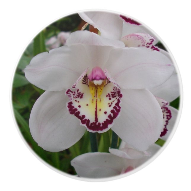 Weißer Orchid II Elegant Keramikknauf (Vorderseite)