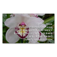 Weißer Orchid II Elegant