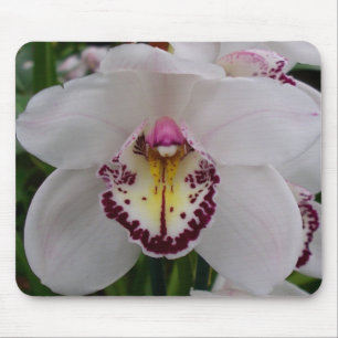 Weißer Orchid II Elegant Mousepad