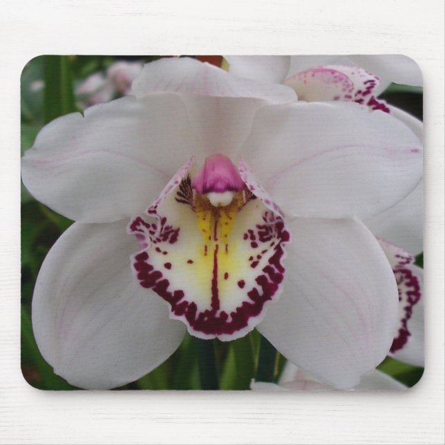Weißer Orchid II Elegant Mousepad (Vorne)