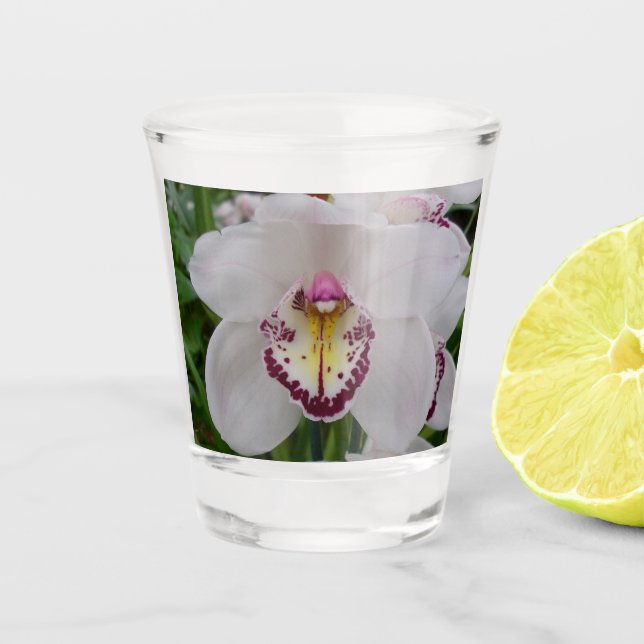 Weißer Orchid II Elegant Schnapsglas (Vorderseite)