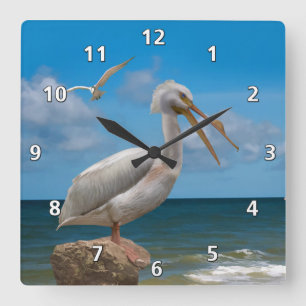 Weißer Pelikan auf einem Felsen Quadratische Wanduhr