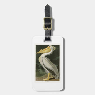 Weißer Pelikan-John James Audubon-Vögel von Gepäckanhänger
