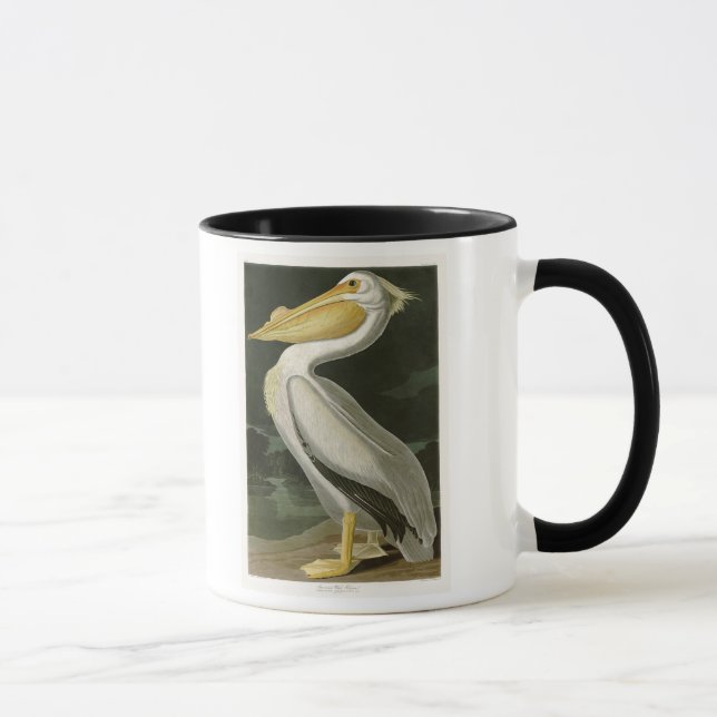 Weißer Pelikan-John James Audubon-Vögel von Tasse (Rechts)