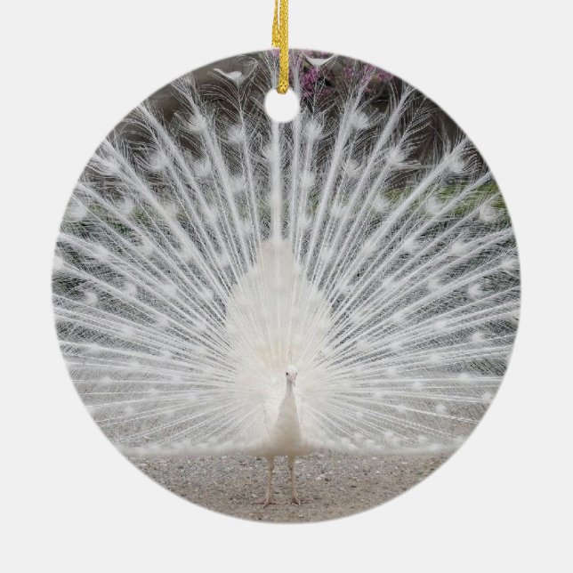 weißer Pfau Keramik Ornament (Hinten)