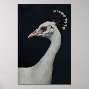 Weißer Pfau Kunstprint, Tierportrait Vogel Poster