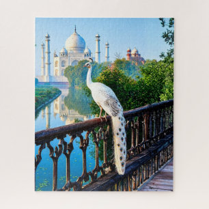 Weißer Pfau mit Blick auf den Taj Mahal