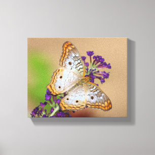 Weißer Pfauenschmetterling auf violetten Blumen Leinwanddruck