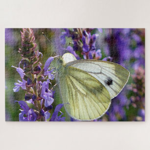 Weißer Pieris Rapae Schmetterling.