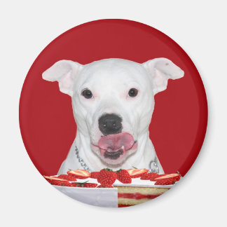 Weißer Pitbull Magnet