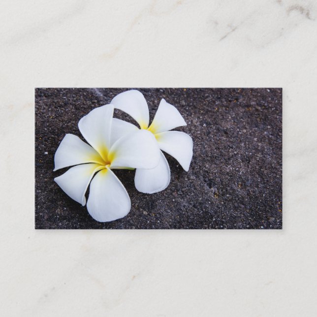 Weißer Plumeria-Blumefrangipani-Blumenlava-Felsen Visitenkarte (Vorderseite)