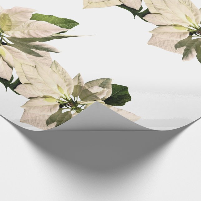 Weißer Pointsettia Blumen-Weihnachtsfeiertag Geschenkpapier (Ecke)