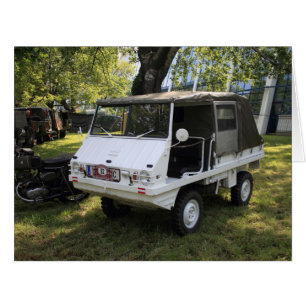 Weißer Puch Haflinger