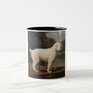 Weißer Pudel in einem Punt (von George Stubbs) Zweifarbige Tasse