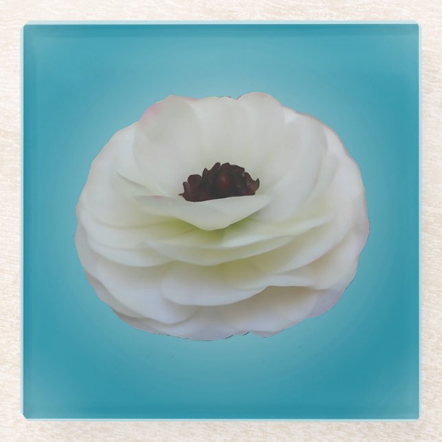 Weißer Ranunculus-Blumen-Glas-Untersetzer Glasuntersetzer (Vorderseite)