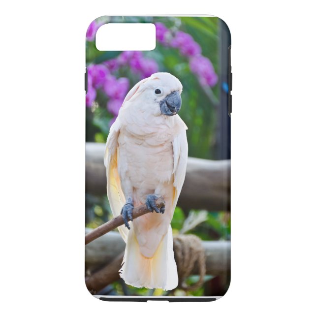 Weißer RegenschirmCockatoo Case-Mate iPhone Hülle (Rückseite)