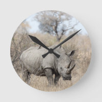 Weißer Rhino