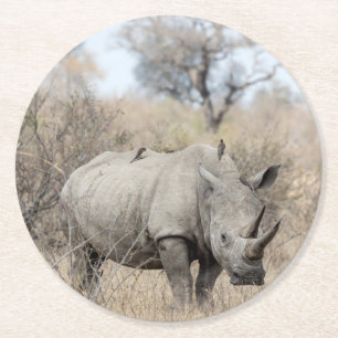 Weißer Rhino Runder Pappuntersetzer