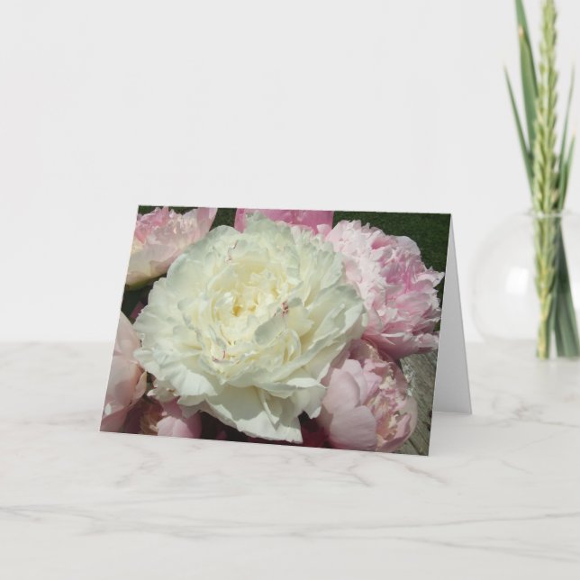 Weißer rosa Pfingstrosen-Raum-innere Gruß-Karte Karte (Vorderseite)