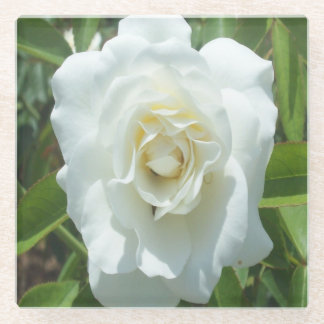 Weißer Rose Foto Quadrat Untersetzer