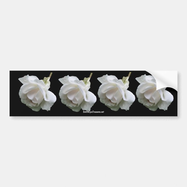 Weißer Rosen-Blumen-Foto-Autoaufkleber Autoaufkleber (Vorne)