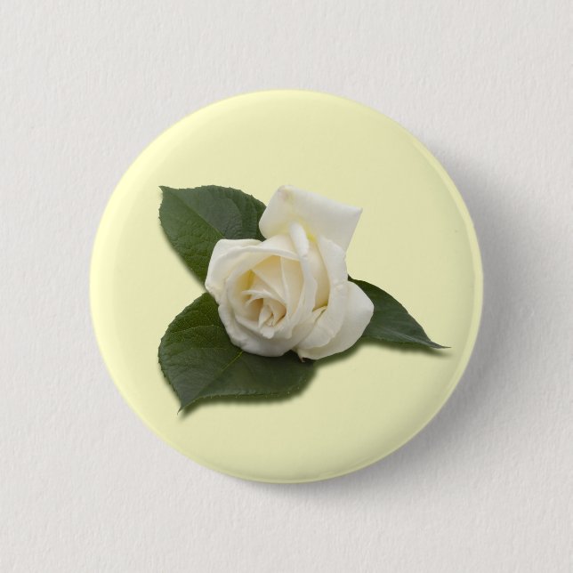 Weißer Rosen-Knopf Button (Vorderseite)