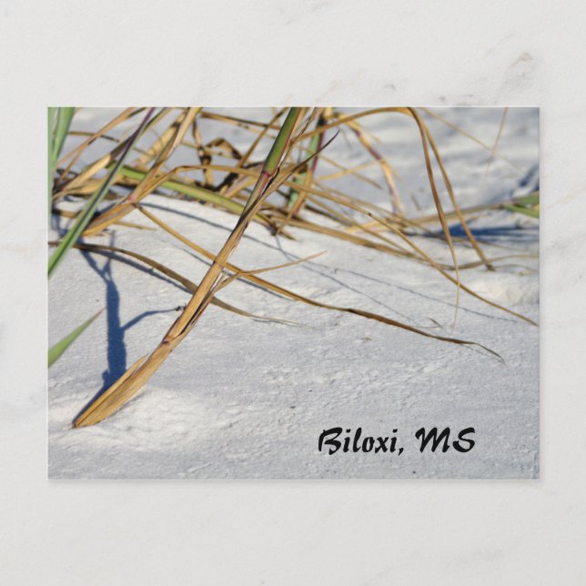 Weißer Sand mit Gras Postkarte (Vorderseite)