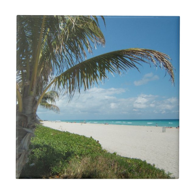 Weißer Sand-Strand w/Palm Fliese (Vorderseite)