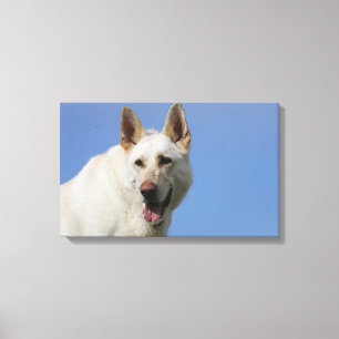 Weißer Schäferhund Leinwanddruck
