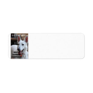 weißer Schäferhund-Liebe w pic