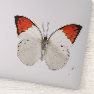 Weißer Schmetterling Aufkleber