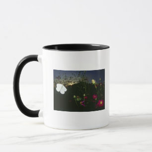 Weißer Schmetterling im Flug am Sonnenuntergang Tasse