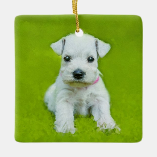 Weißer Schnauzer-Welpe Keramikornament (Vorderseite)