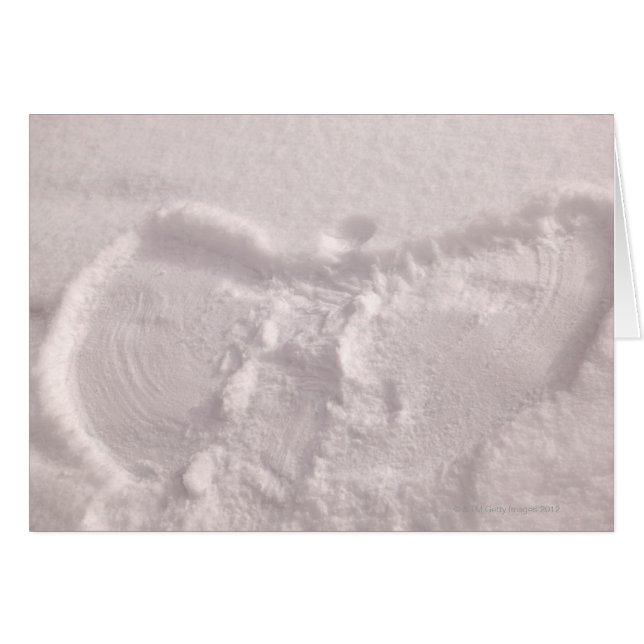Weißer Schnee mit Schneegel (Vorderseite (Horizontal))