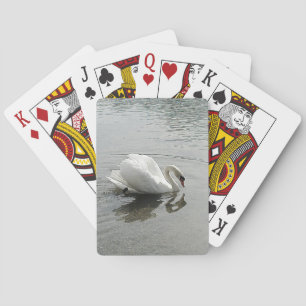 Weißer Schwan, der im grauen Wasser reflektiert Spielkarten