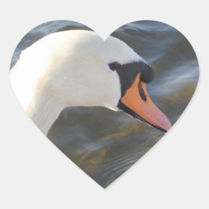 Weißer Schwan-Herz-Aufkleber Herz-Aufkleber