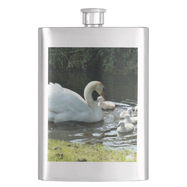 Weißer Schwan mit Chicks Flachmann (Vorderseite)