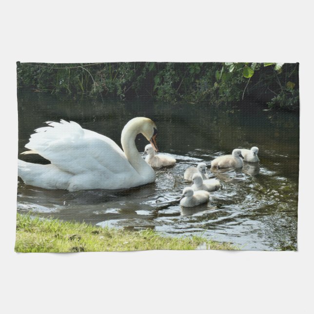 Weißer Schwan mit Chicks Geschirrtuch (Horizontal)