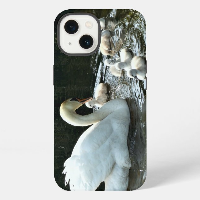 Weißer Schwan mit Chicks iPhone Hülle (Rückseite)