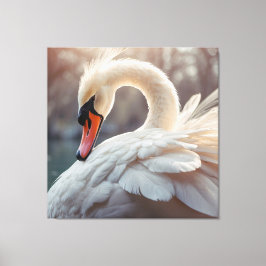 *~* Weißer Schwan SC1 Nah nach oben Leinwanddruck