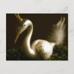 Weißer Schwan • Weihnachtspostkarte Feiertagspostkarte