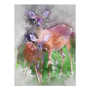 Weißer Schwanz Hirsch in Wasserfarbe Poster