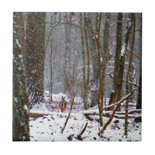 Weißer Schwanz im Schnee Fliese