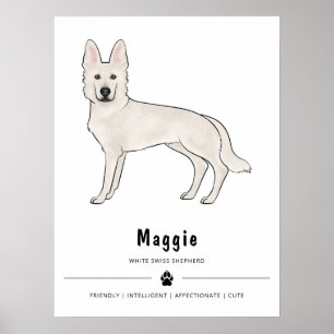 Weißer Schweizer Hirte, weißes GSD und individuell Poster